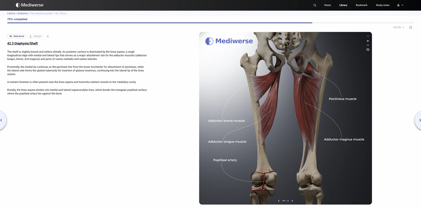 Mediwerse study page on desktop
