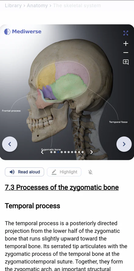 Mediwerse study page on mobile