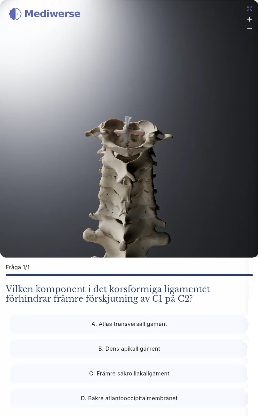 Förhandsvisning av Mediwerse visuella frågebank